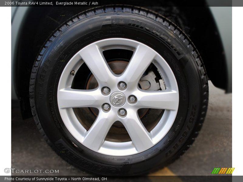 Everglade Metallic / Ash 2006 Toyota RAV4 Limited