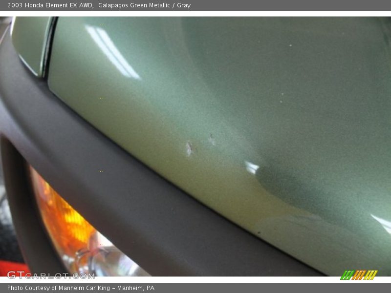 Galapagos Green Metallic / Gray 2003 Honda Element EX AWD