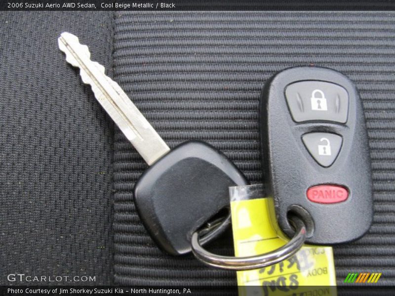 Cool Beige Metallic / Black 2006 Suzuki Aerio AWD Sedan