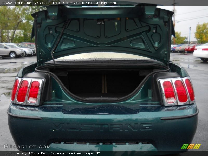 Tropic Green Metallic / Medium Parchment 2002 Ford Mustang V6 Coupe