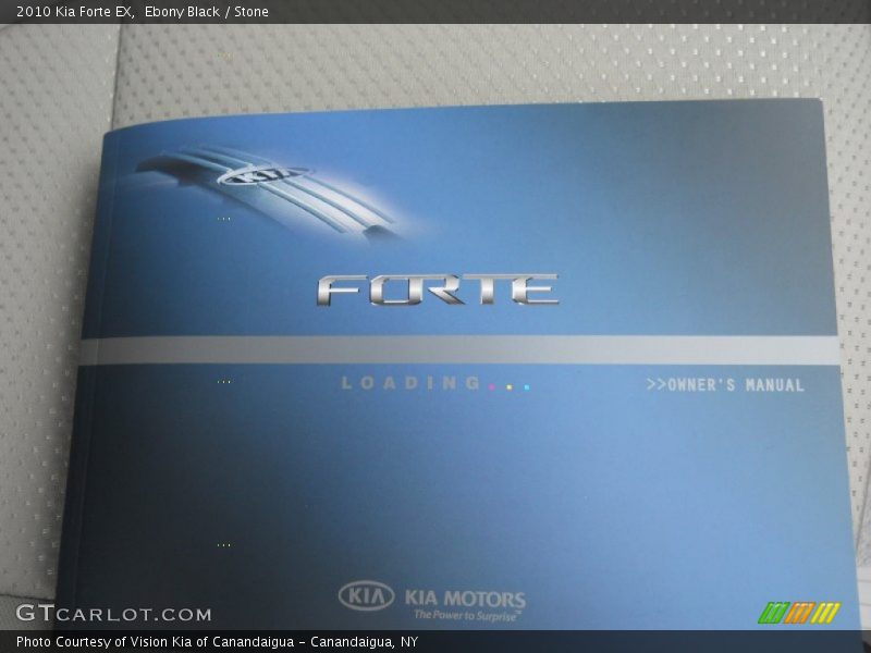 Ebony Black / Stone 2010 Kia Forte EX