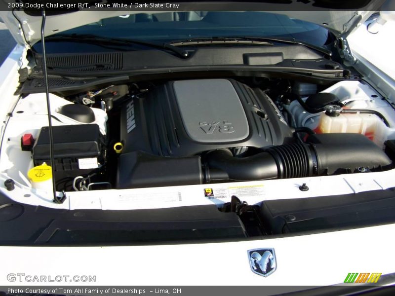 Stone White / Dark Slate Gray 2009 Dodge Challenger R/T