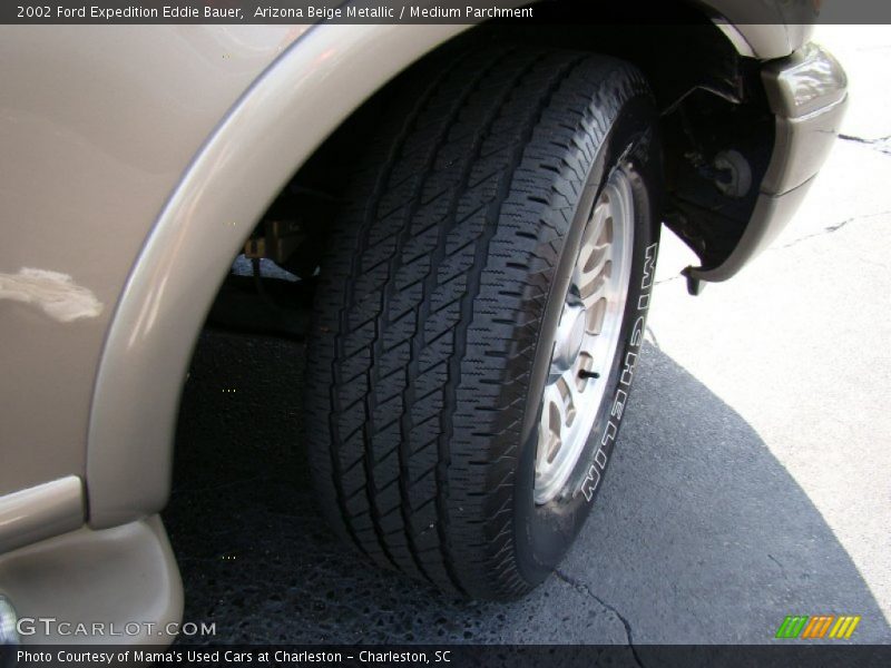 Arizona Beige Metallic / Medium Parchment 2002 Ford Expedition Eddie Bauer