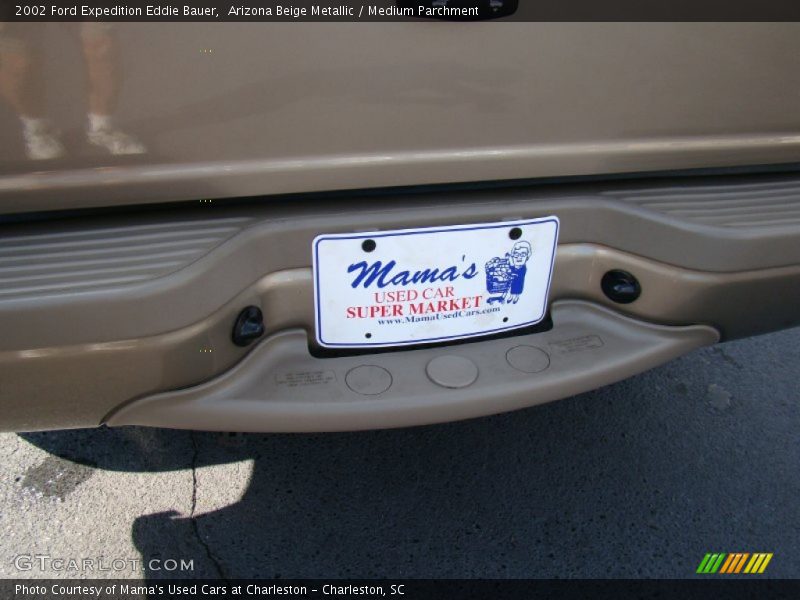 Arizona Beige Metallic / Medium Parchment 2002 Ford Expedition Eddie Bauer