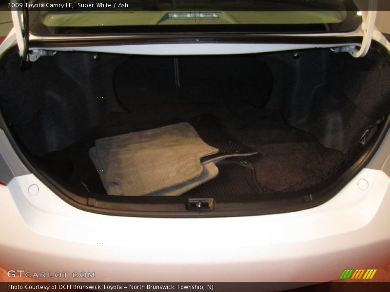 Super White / Ash 2009 Toyota Camry LE