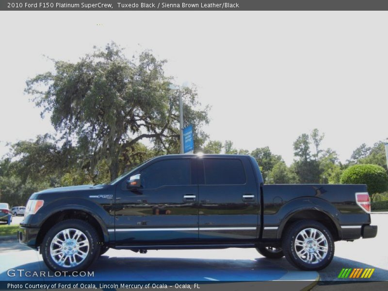 Tuxedo Black / Sienna Brown Leather/Black 2010 Ford F150 Platinum SuperCrew