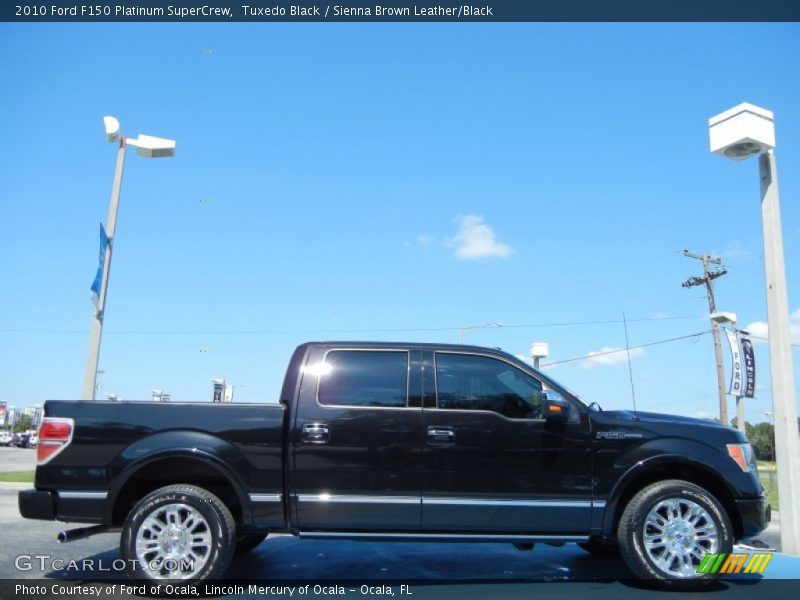 Tuxedo Black / Sienna Brown Leather/Black 2010 Ford F150 Platinum SuperCrew