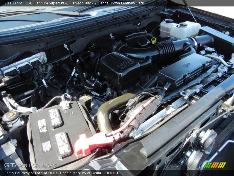 Tuxedo Black / Sienna Brown Leather/Black 2010 Ford F150 Platinum SuperCrew