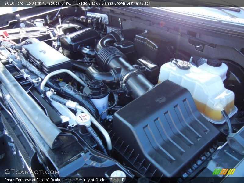 Tuxedo Black / Sienna Brown Leather/Black 2010 Ford F150 Platinum SuperCrew