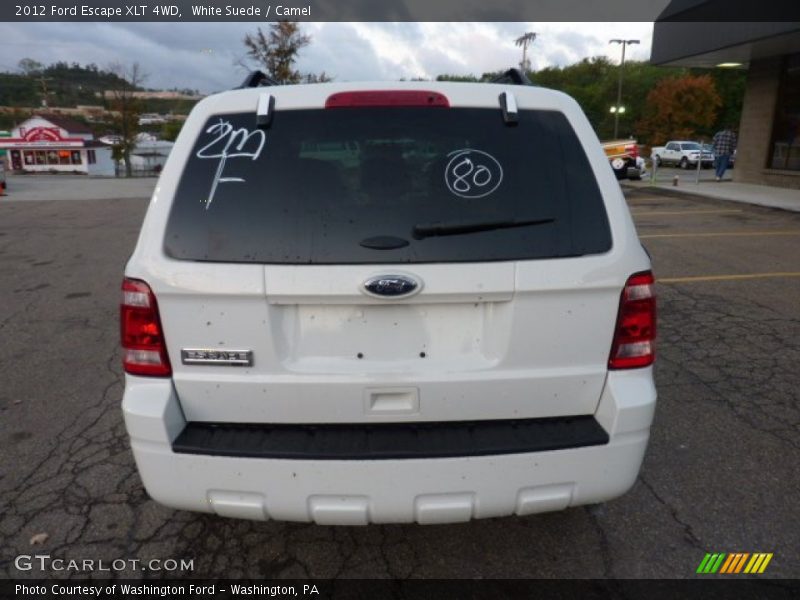 White Suede / Camel 2012 Ford Escape XLT 4WD