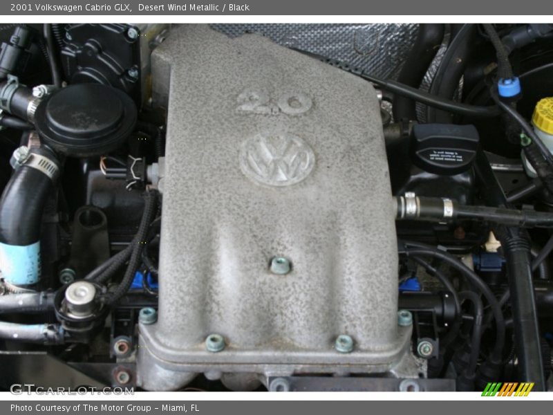 Desert Wind Metallic / Black 2001 Volkswagen Cabrio GLX