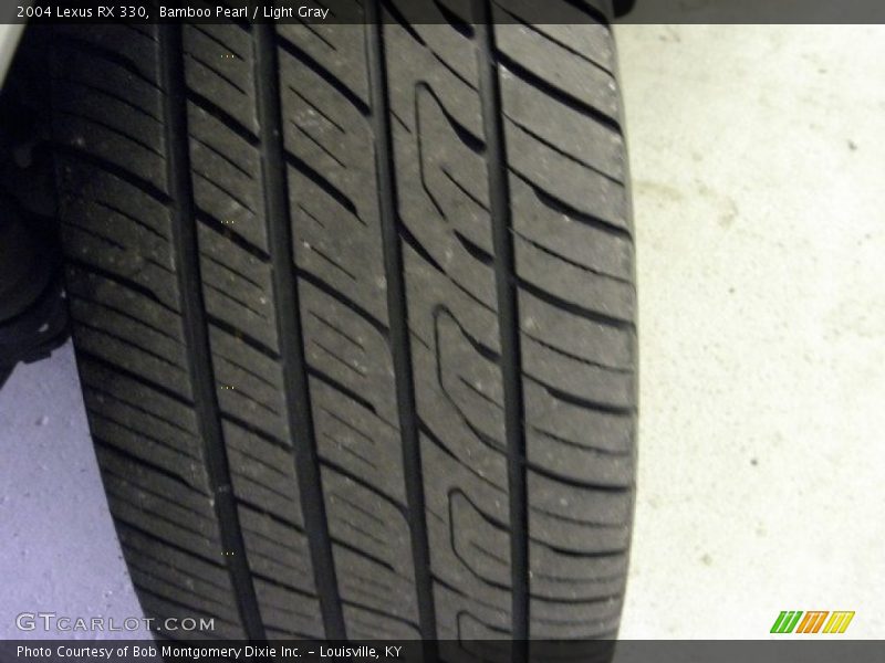 Bamboo Pearl / Light Gray 2004 Lexus RX 330