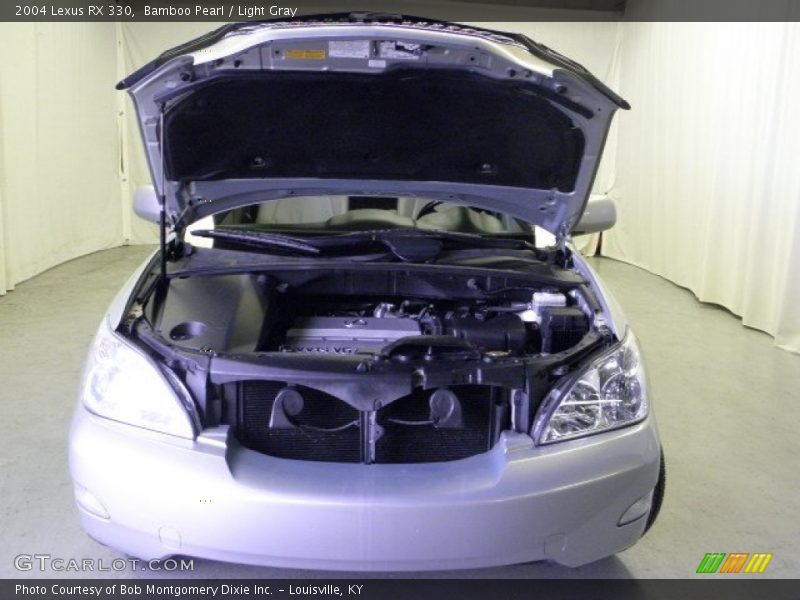Bamboo Pearl / Light Gray 2004 Lexus RX 330