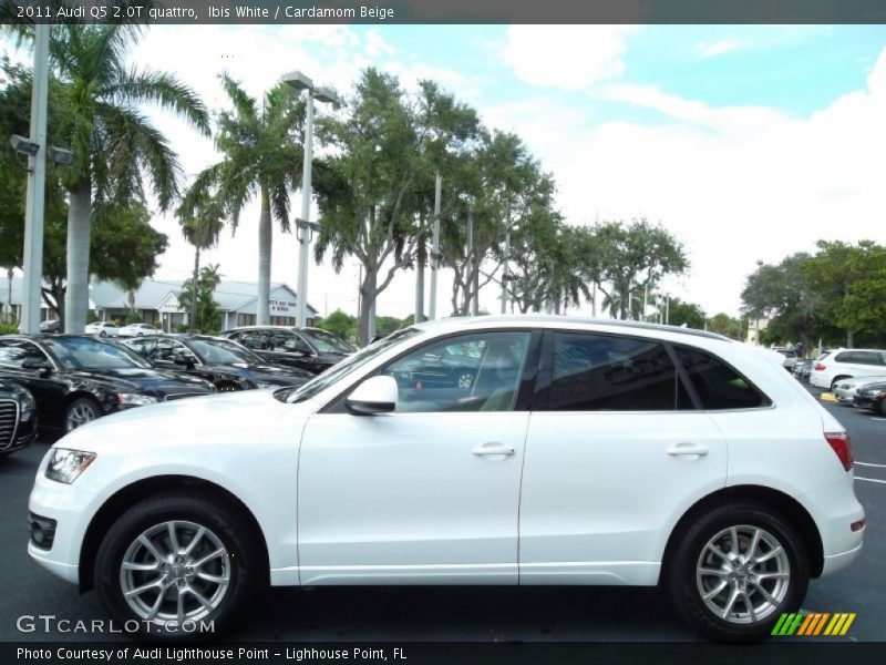  2011 Q5 2.0T quattro Ibis White