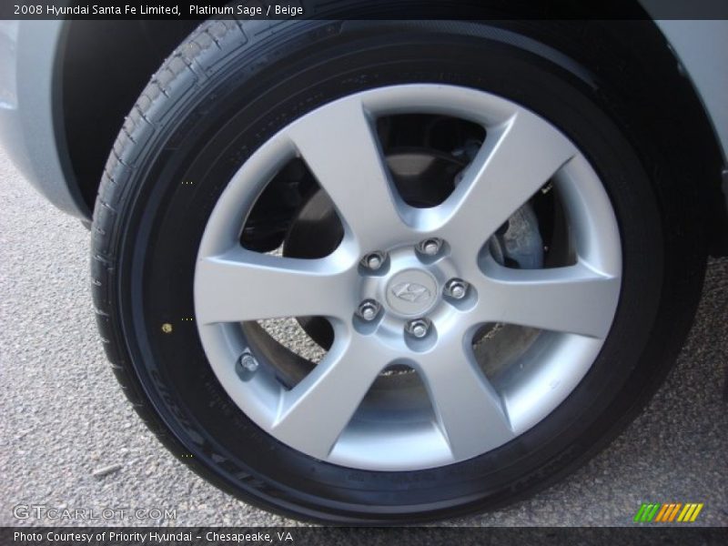 Platinum Sage / Beige 2008 Hyundai Santa Fe Limited