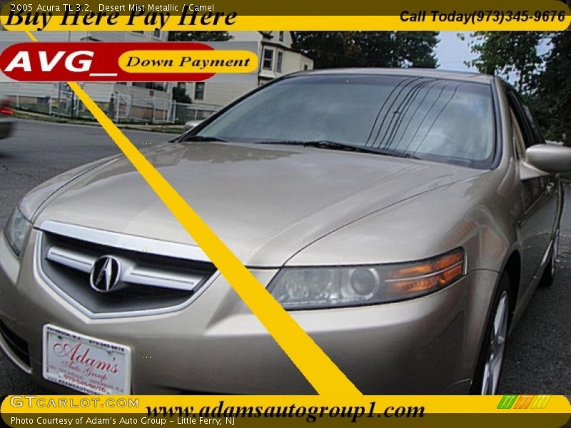 Desert Mist Metallic / Camel 2005 Acura TL 3.2