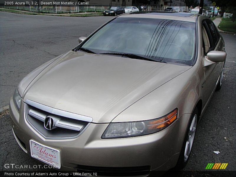 Desert Mist Metallic / Camel 2005 Acura TL 3.2