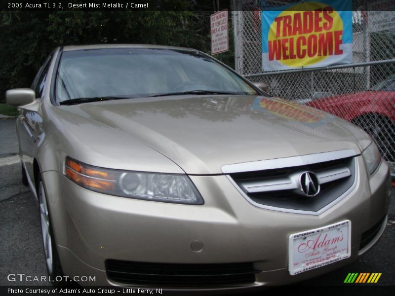 Desert Mist Metallic / Camel 2005 Acura TL 3.2