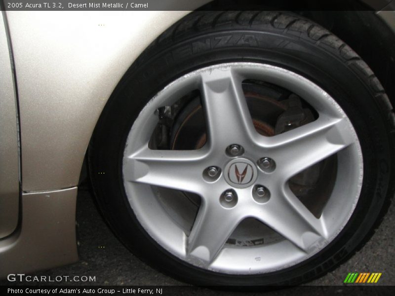 Desert Mist Metallic / Camel 2005 Acura TL 3.2