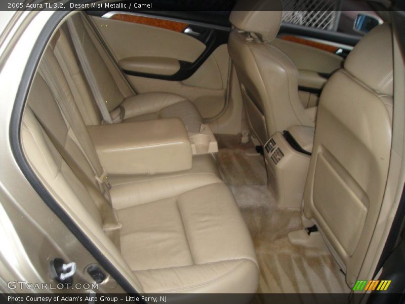 Desert Mist Metallic / Camel 2005 Acura TL 3.2