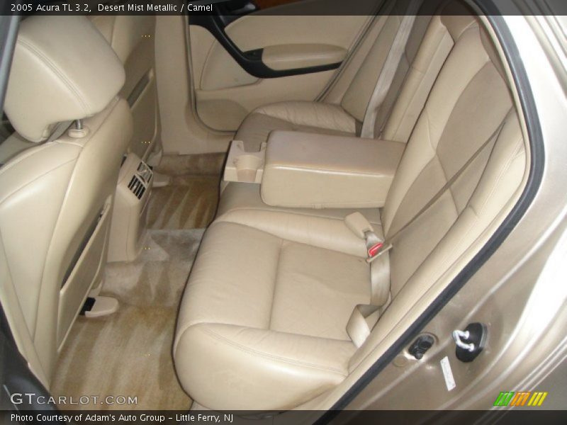Desert Mist Metallic / Camel 2005 Acura TL 3.2