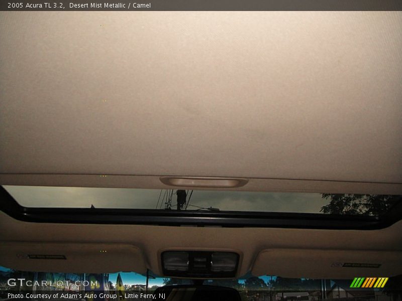 Desert Mist Metallic / Camel 2005 Acura TL 3.2