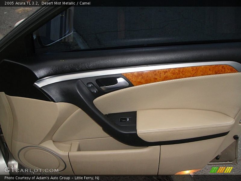 Desert Mist Metallic / Camel 2005 Acura TL 3.2
