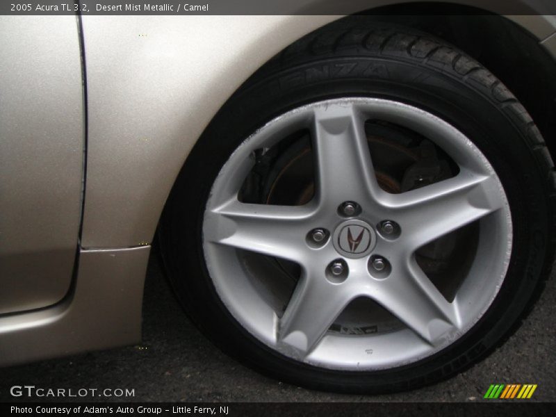 Desert Mist Metallic / Camel 2005 Acura TL 3.2