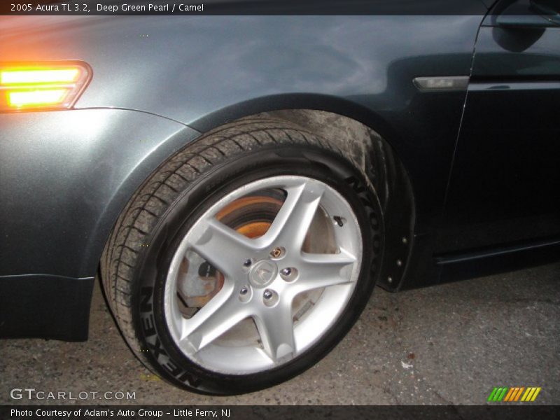 Deep Green Pearl / Camel 2005 Acura TL 3.2