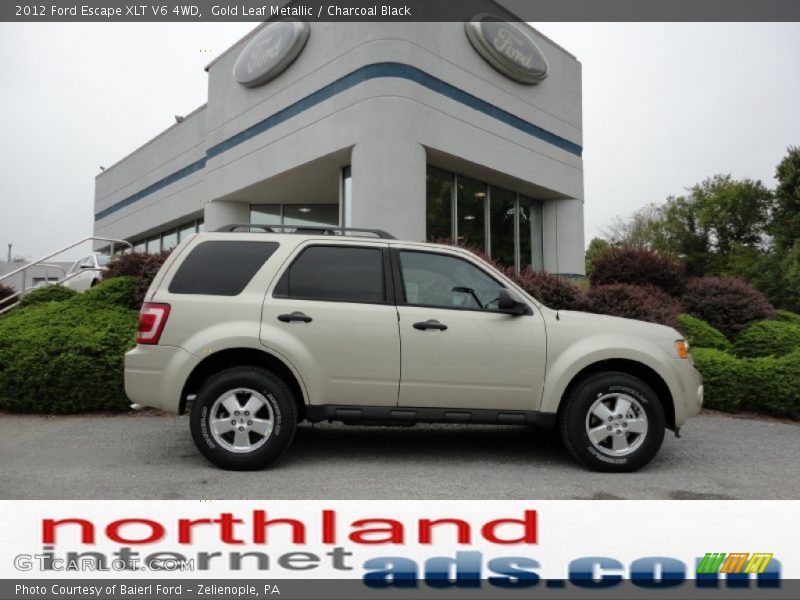 Gold Leaf Metallic / Charcoal Black 2012 Ford Escape XLT V6 4WD
