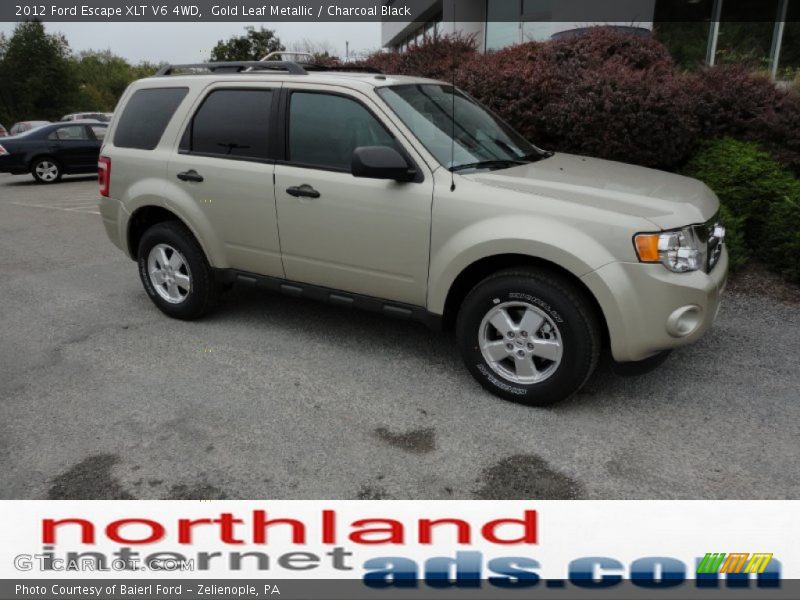 Gold Leaf Metallic / Charcoal Black 2012 Ford Escape XLT V6 4WD
