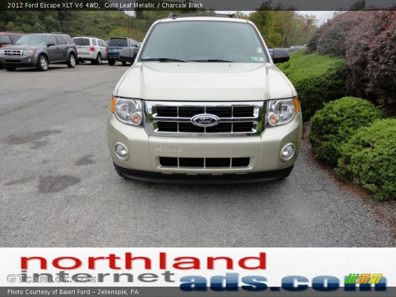 Gold Leaf Metallic / Charcoal Black 2012 Ford Escape XLT V6 4WD