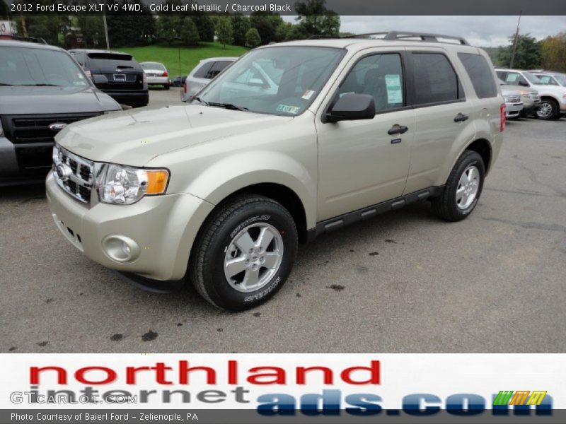 Gold Leaf Metallic / Charcoal Black 2012 Ford Escape XLT V6 4WD