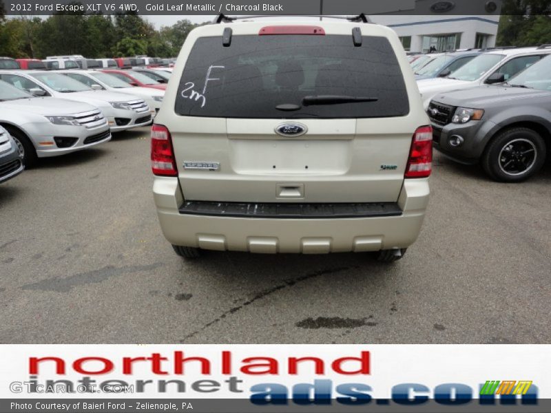 Gold Leaf Metallic / Charcoal Black 2012 Ford Escape XLT V6 4WD