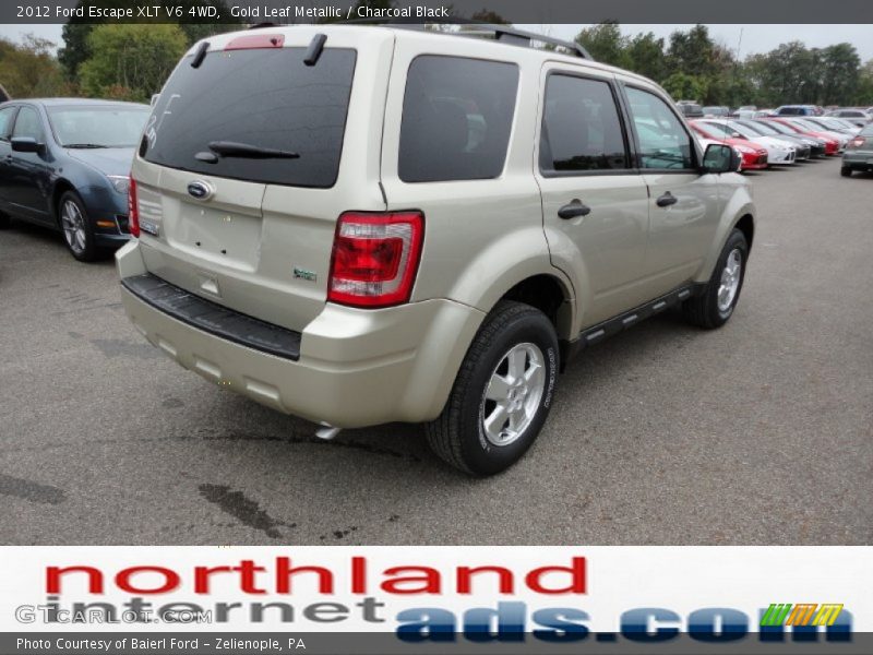 Gold Leaf Metallic / Charcoal Black 2012 Ford Escape XLT V6 4WD