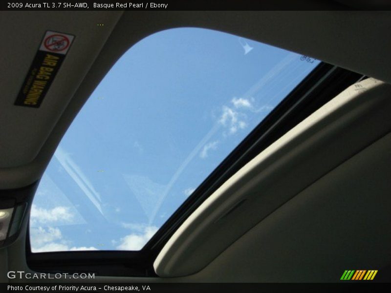 Basque Red Pearl / Ebony 2009 Acura TL 3.7 SH-AWD