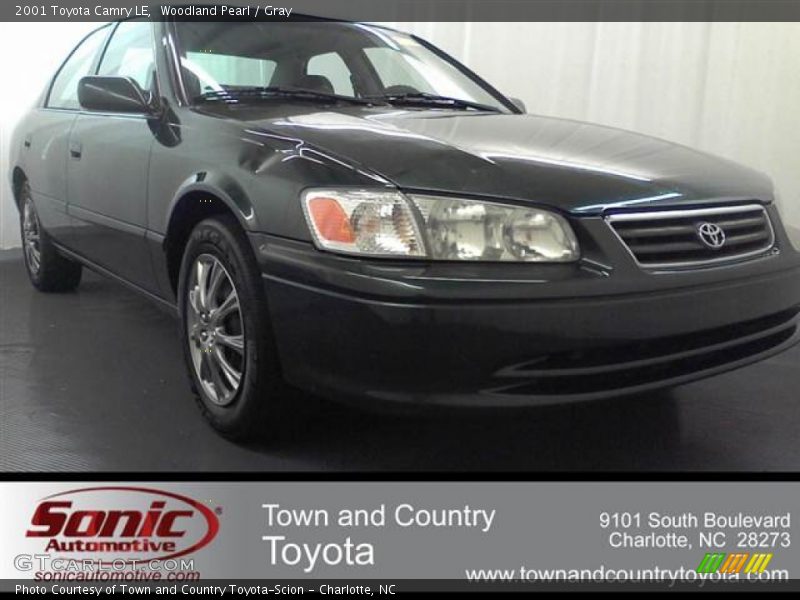 Woodland Pearl / Gray 2001 Toyota Camry LE