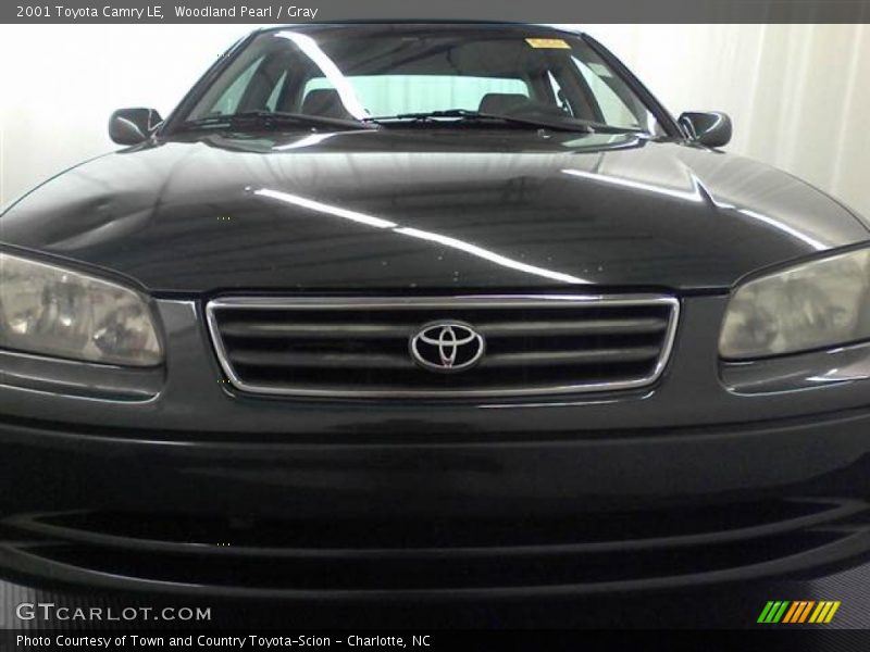 Woodland Pearl / Gray 2001 Toyota Camry LE