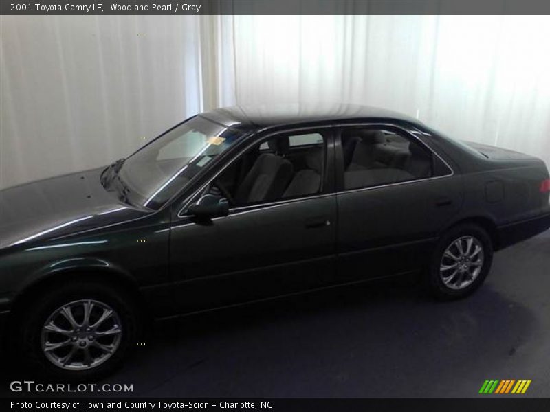 Woodland Pearl / Gray 2001 Toyota Camry LE