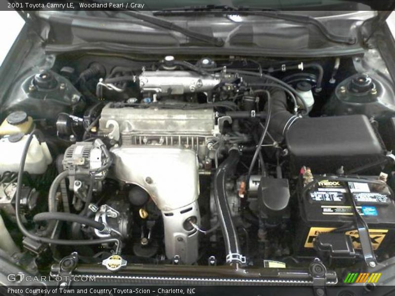 Woodland Pearl / Gray 2001 Toyota Camry LE