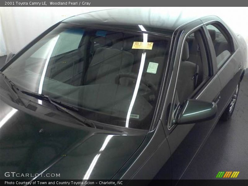 Woodland Pearl / Gray 2001 Toyota Camry LE