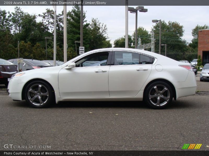 White Diamond Pearl / Umber/Ebony 2009 Acura TL 3.7 SH-AWD