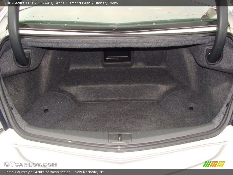 White Diamond Pearl / Umber/Ebony 2009 Acura TL 3.7 SH-AWD