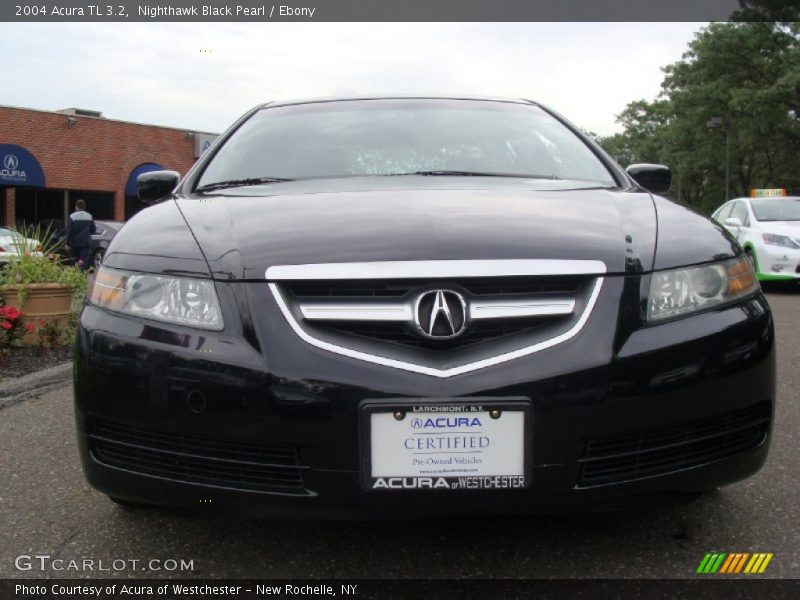 Nighthawk Black Pearl / Ebony 2004 Acura TL 3.2