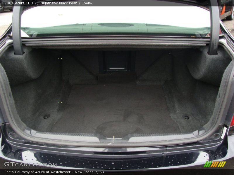 Nighthawk Black Pearl / Ebony 2004 Acura TL 3.2