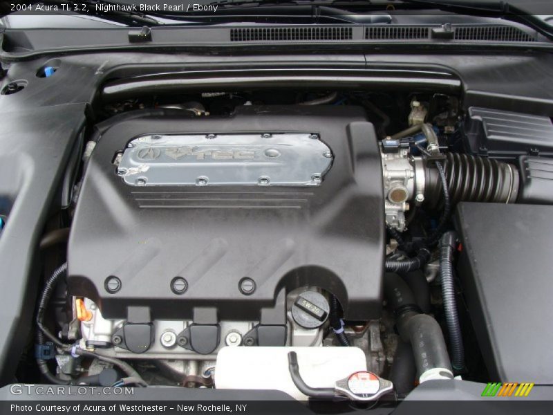 Nighthawk Black Pearl / Ebony 2004 Acura TL 3.2