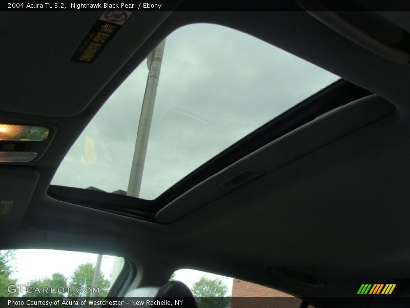 Nighthawk Black Pearl / Ebony 2004 Acura TL 3.2