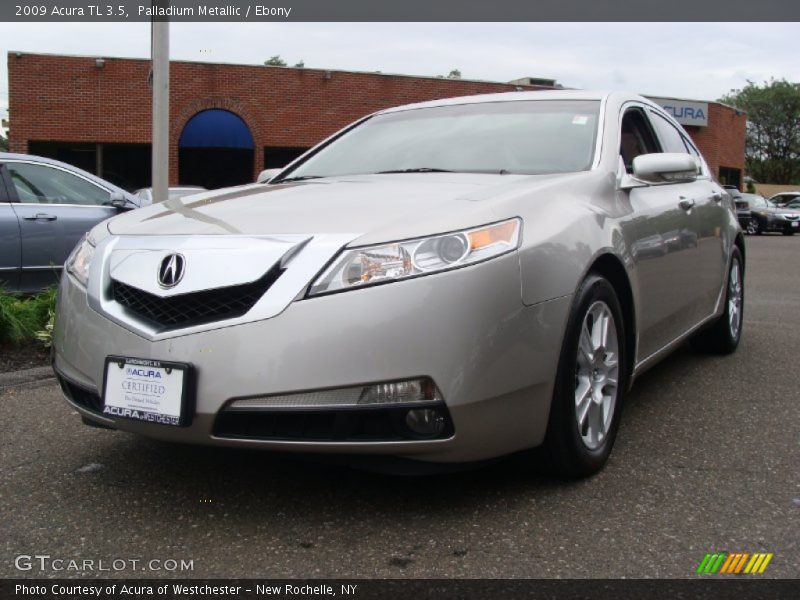 Palladium Metallic / Ebony 2009 Acura TL 3.5