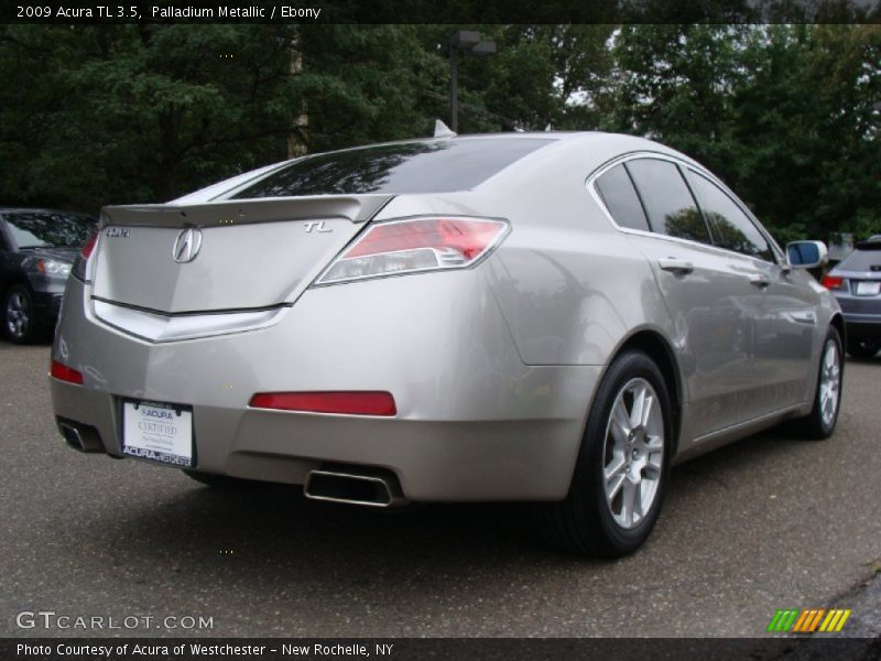 Palladium Metallic / Ebony 2009 Acura TL 3.5