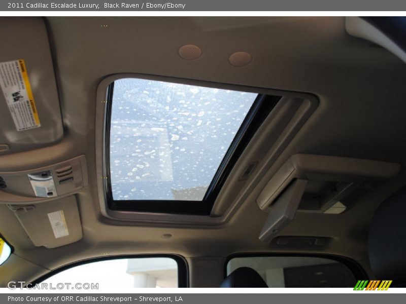 Black Raven / Ebony/Ebony 2011 Cadillac Escalade Luxury